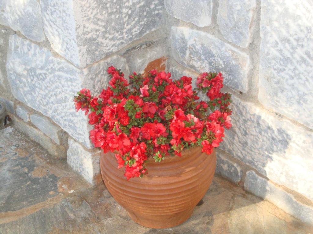 Kafiona Guesthouse Pírgos Dhiroú Buitenkant foto