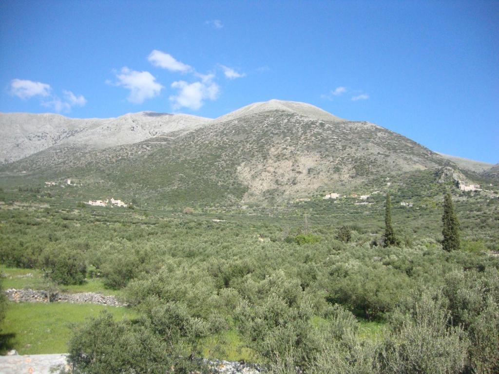 Kafiona Guesthouse Pírgos Dhiroú Buitenkant foto